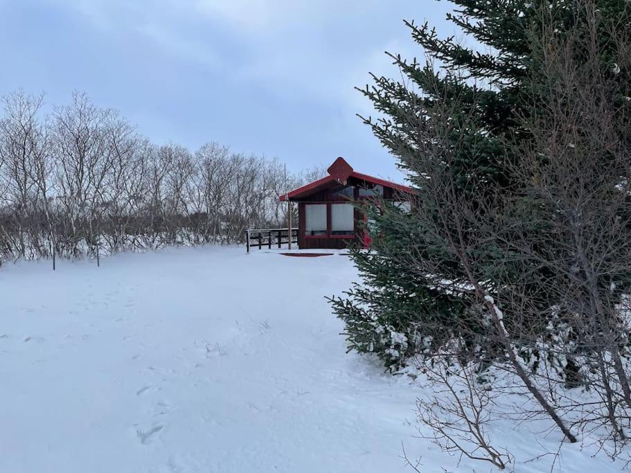 Lakeview Cabin Near Kirkjubæjarklaustur المظهر الخارجي الصورة